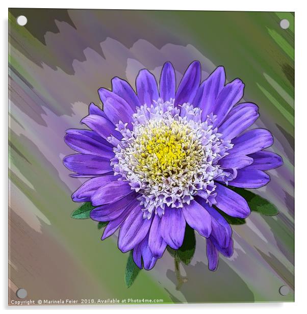 blue violet flower  Acrylic by Marinela Feier