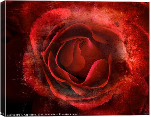 Red Rose of passion for valentines day Canvas Print by K. Appleseed.