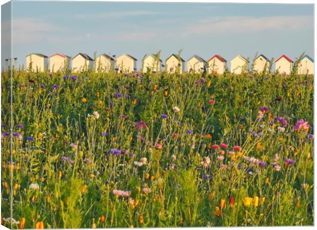 Wildflowers and beach huts Canvas Print by Carolyn Brown-Felpts