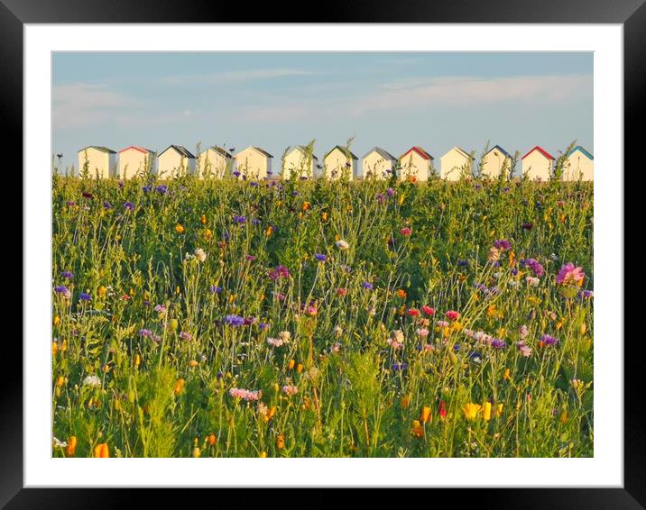 Wildflowers and beach huts Framed Mounted Print by Carolyn Brown-Felpts