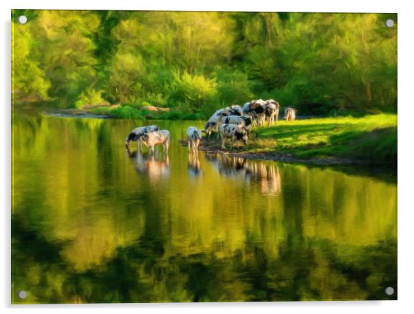 Digital art of cows in River Dee outside Llangolle Acrylic by Steve Heap