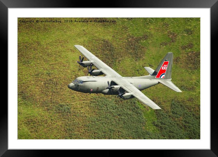 Low Flying Hercules Special RAF Centenary Tail Framed Mounted Print by rawshutterbug 