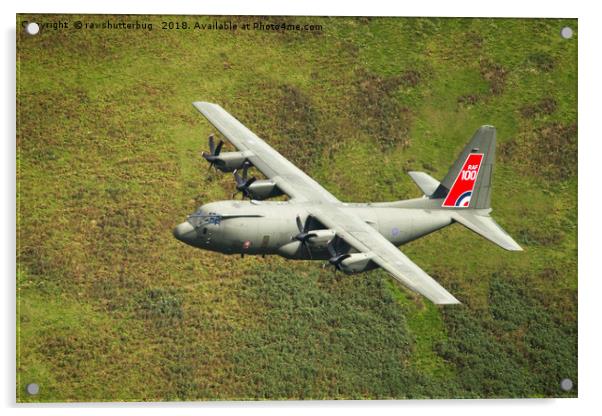 Low Flying Hercules Special RAF Centenary Tail Acrylic by rawshutterbug 