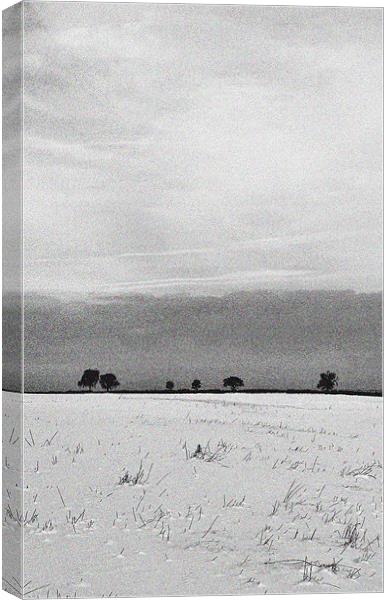 A Snow Covered Field Canvas Print by graham young
