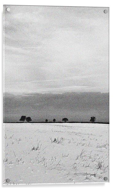 A Snow Covered Field Acrylic by graham young