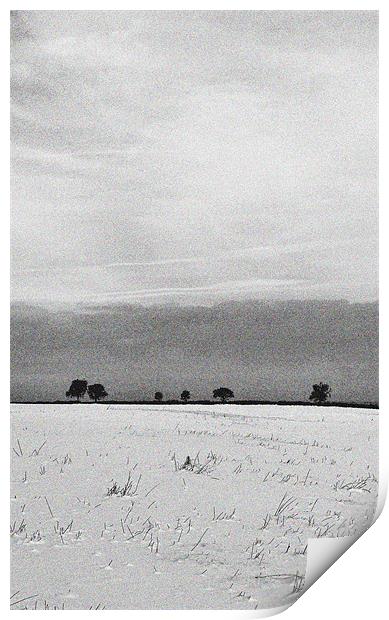 A Snow Covered Field Print by graham young