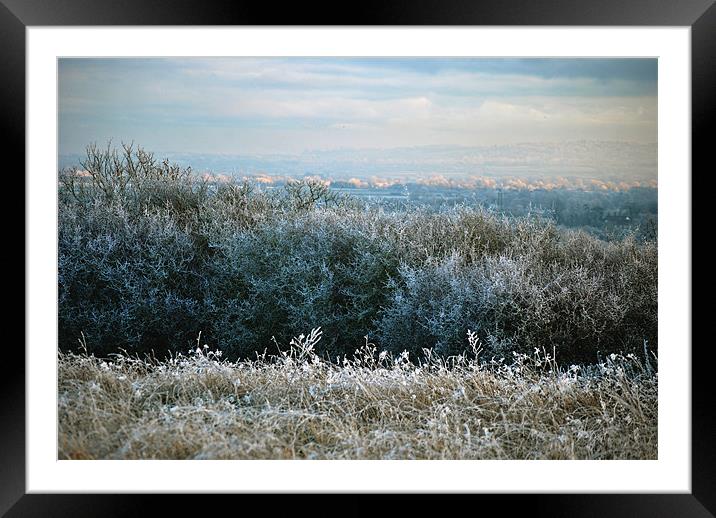 Hoar Frost in the Chiltern Hills Framed Mounted Print by graham young