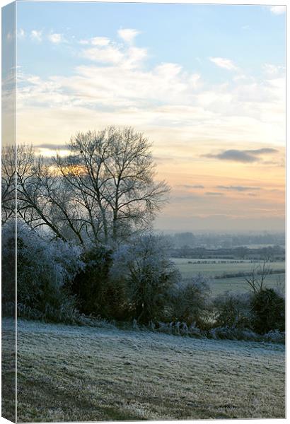 A Frosty Morning in the Chilterns Canvas Print by graham young