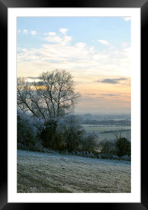 A Frosty Morning in the Chilterns Framed Mounted Print by graham young