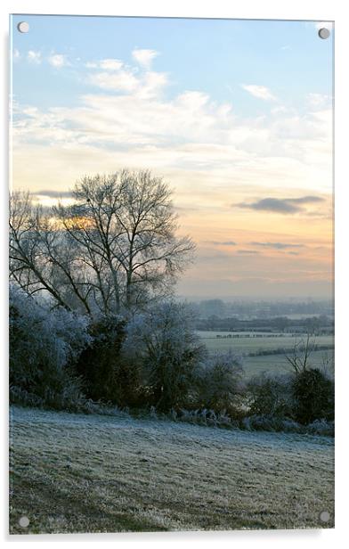 A Frosty Morning in the Chilterns Acrylic by graham young