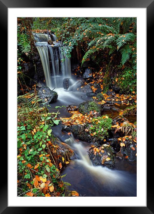 Upper Coppice Wheel in Autumn                      Framed Mounted Print by Darren Galpin