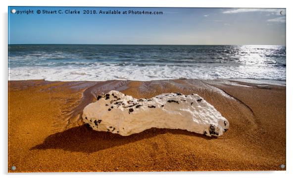 Rocky beach Acrylic by Stuart C Clarke