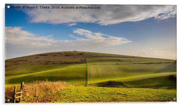 Rolling hills of Dorset Acrylic by Stuart C Clarke