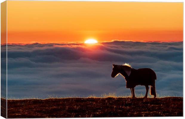 Eccles Pike horse, sunset above the fog, Canvas Print by John Finney