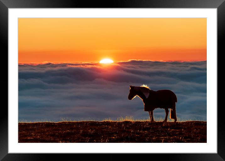 Eccles Pike horse, sunset above the fog, Framed Mounted Print by John Finney