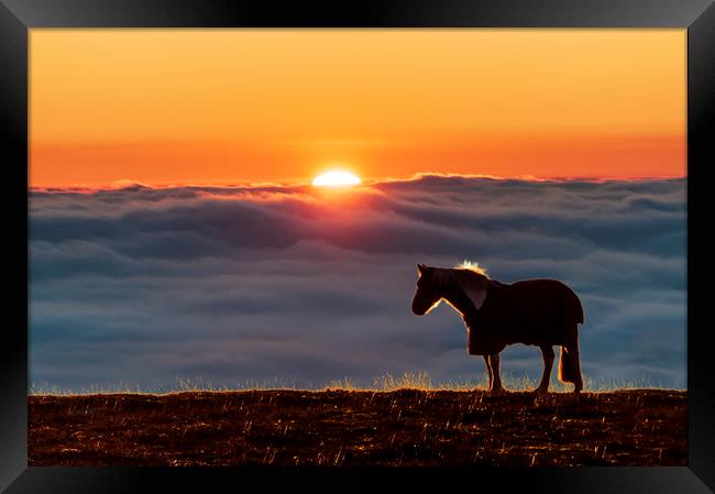 Eccles Pike horse, sunset above the fog, Framed Print by John Finney