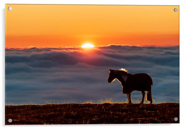 Eccles Pike horse, sunset above the fog, Acrylic by John Finney