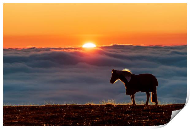 Eccles Pike horse, sunset above the fog, Print by John Finney
