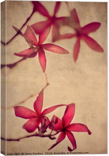 Red Frangipani Flowers Canvas Print by Jenny Rainbow