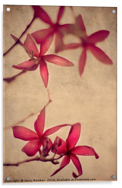 Red Frangipani Flowers Acrylic by Jenny Rainbow