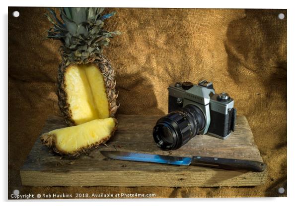 Praktica and Pineapple  Acrylic by Rob Hawkins