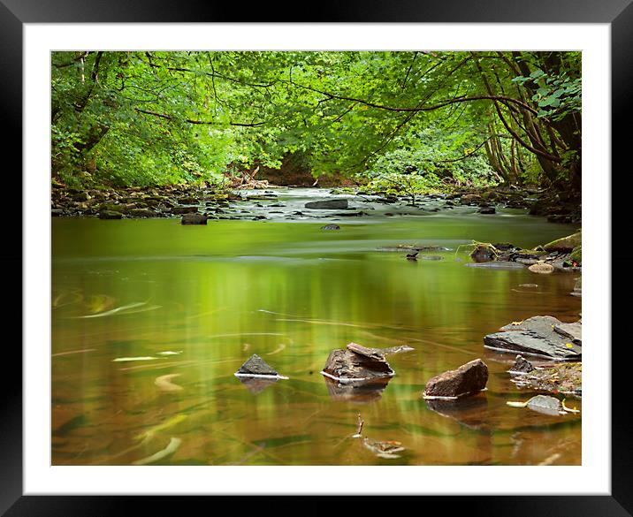Down by the river. Framed Mounted Print by Jonathan Thirkell