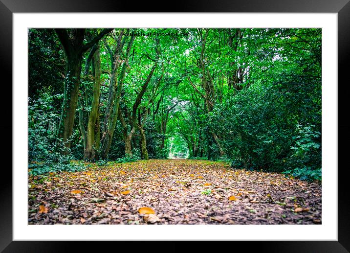 Landscape in the Chiswick Park London Framed Mounted Print by NKH10 Photography