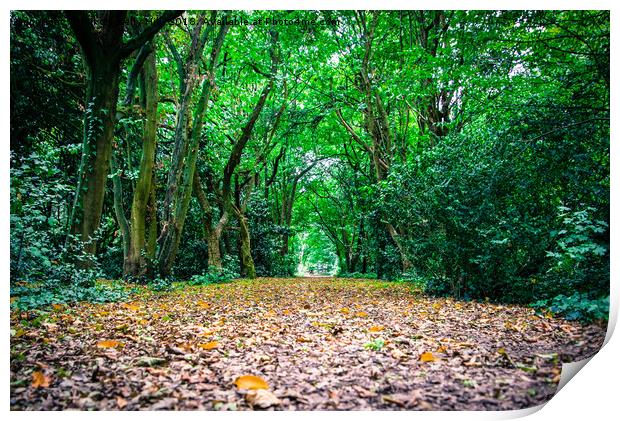 Landscape in the Chiswick Park London Print by NKH10 Photography