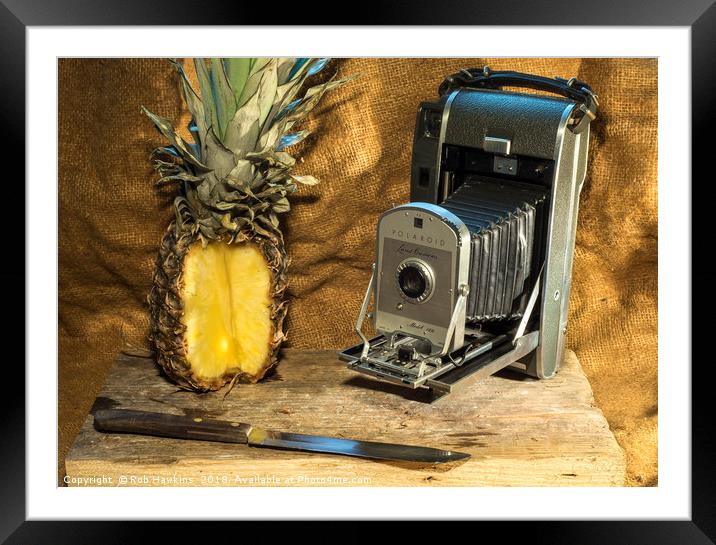 Polaroid and Pineapple  Framed Mounted Print by Rob Hawkins