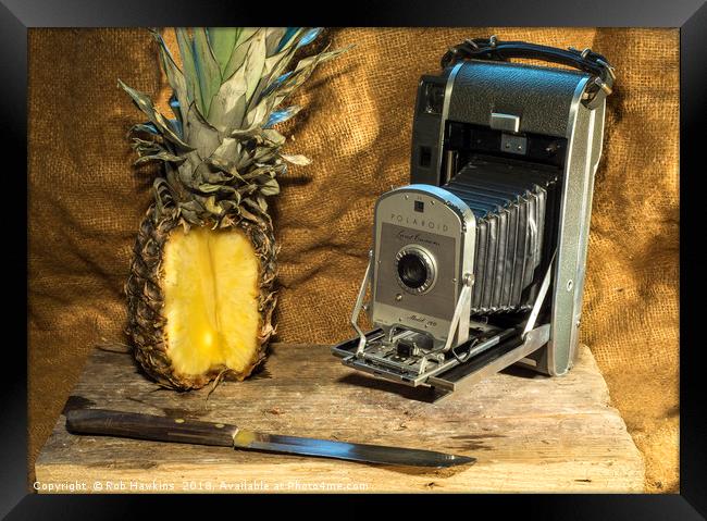 Polaroid and Pineapple  Framed Print by Rob Hawkins