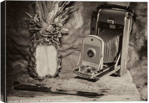 Pineapple Polaroid  Canvas Print by Rob Hawkins