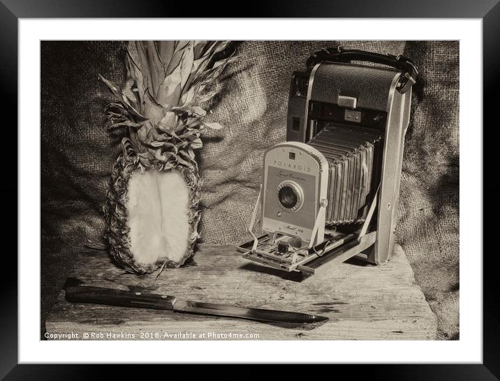 Pineapple Polaroid  Framed Mounted Print by Rob Hawkins