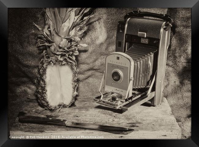 Pineapple Polaroid  Framed Print by Rob Hawkins