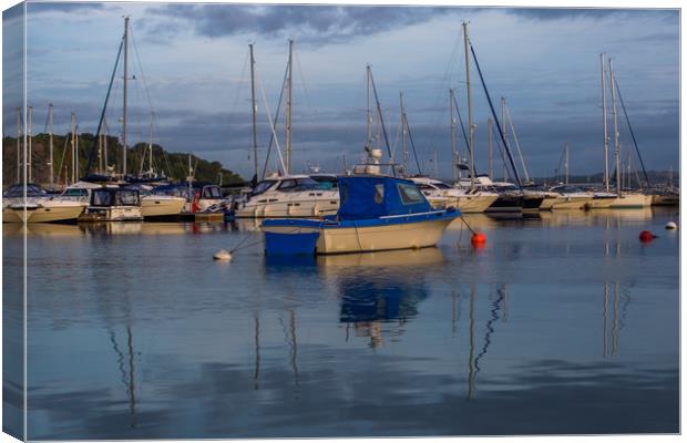 Early morning boats in harbour Canvas Print by Steve Mantell