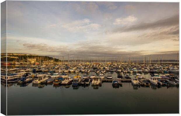 Brixham harbour boats early morning Canvas Print by Steve Mantell