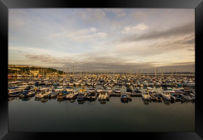 Brixham harbour boats early morning Framed Print by Steve Mantell
