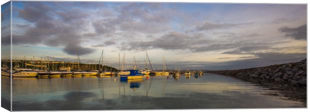 Panoramic harbour coastline Canvas Print by Steve Mantell