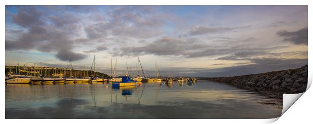 Panoramic harbour coastline Print by Steve Mantell