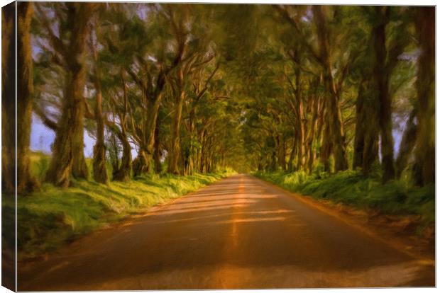 Famous Tree Tunnel of Eucalyptus on Kauai Canvas Print by Steve Heap