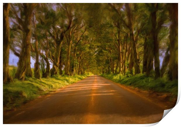 Famous Tree Tunnel of Eucalyptus on Kauai Print by Steve Heap
