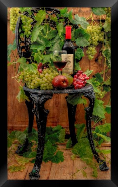 the vine Framed Print by sue davies