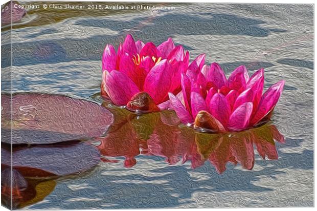 Enchanting Pink Water Lilies Canvas Print by Chris Thaxter