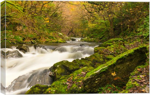 Late Autumn at Watersmeet Canvas Print by Lee Thorne