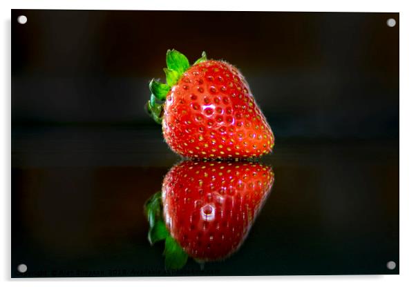Strawberry Reflection Acrylic by Alan Simpson
