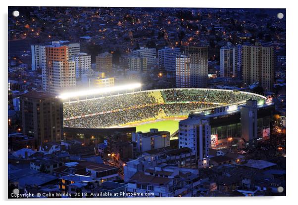 La Paz Stadium Bolivia Acrylic by Colin Woods
