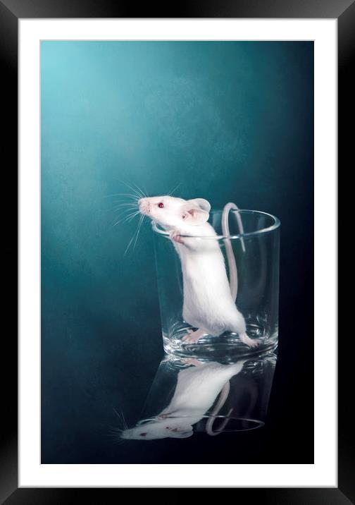 White Mouse Framed Mounted Print by Svetlana Sewell