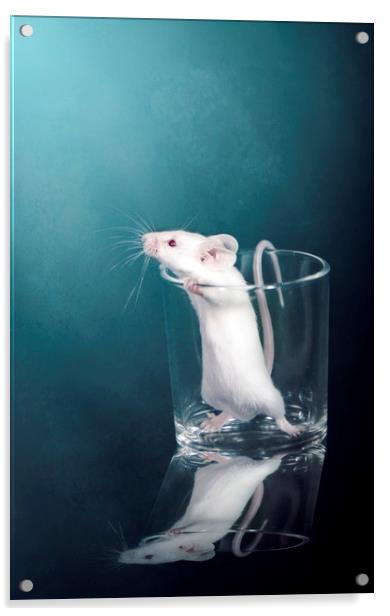 White Mouse Acrylic by Svetlana Sewell