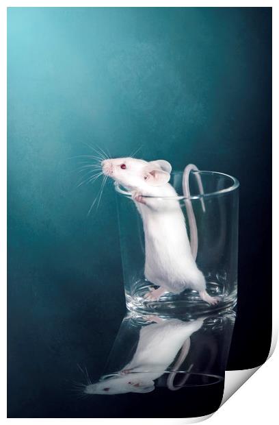 White Mouse Print by Svetlana Sewell