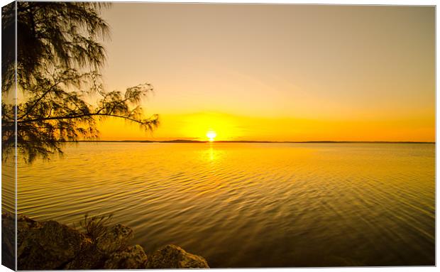 Majestic Sunrise Over Key Largo Canvas Print by Chris Thaxter