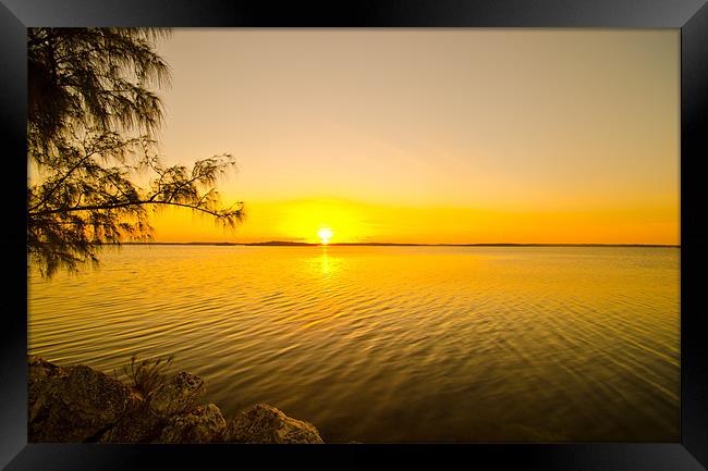 Majestic Sunrise Over Key Largo Framed Print by Chris Thaxter